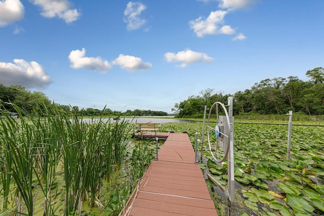 5077 Dudley Lake Path, Faribault, MN 55021 - photo 49