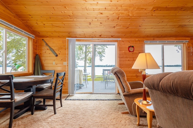 4236 Smith Lake Rd SE, Osakis, MN 56360 - office space with lofted ceiling, healthy amount of natural light, wood walls, wood ceiling, and carpet flooring