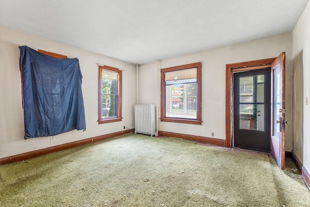 2416 13th Ave S, Minneapolis, MN 55404 - unfurnished room featuring radiator, carpet floors, plenty of natural light, and a textured ceiling