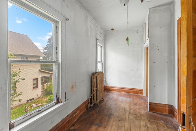 2416 13th Ave S, Minneapolis, MN 55404 - empty room featuring wood-type flooring, radiator, and plenty of natural light