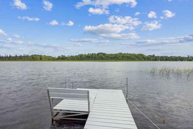 146 Roosevelt Trl, Hillman, MN 56338 - photo 7