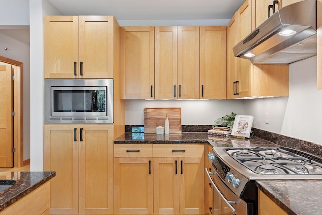 4201 Sunset Dr Unit N213, Spring Park, MN 55384 - photo 8