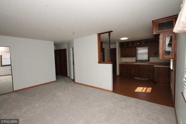 5327 53rd Ave N, Crystal, MN 55429 - unfurnished living room with carpet floors, a textured ceiling, and plenty of natural light