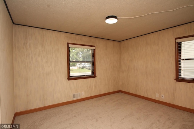 5327 53rd Ave N, Crystal, MN 55429 - unfurnished room with light colored carpet and a textured ceiling