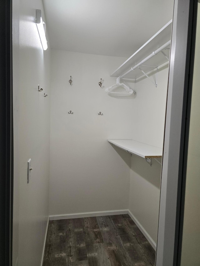 1218 2nd Ave E, International Falls, MN 56649 - spacious closet with dark wood-style floors
