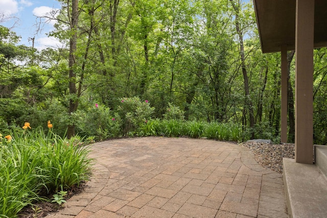 878 Lakewood Hills Rd, Eagan, MN 55123 - photo 41