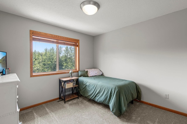 16355 Wintergreen St NW, Andover, MN 55304 - photo 24