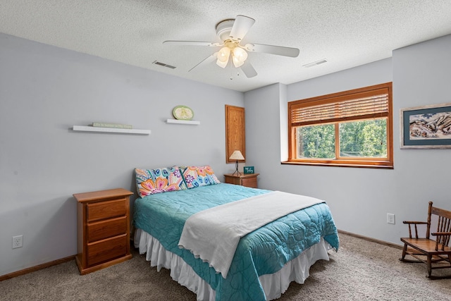 16355 Wintergreen St NW, Andover, MN 55304 - photo 32