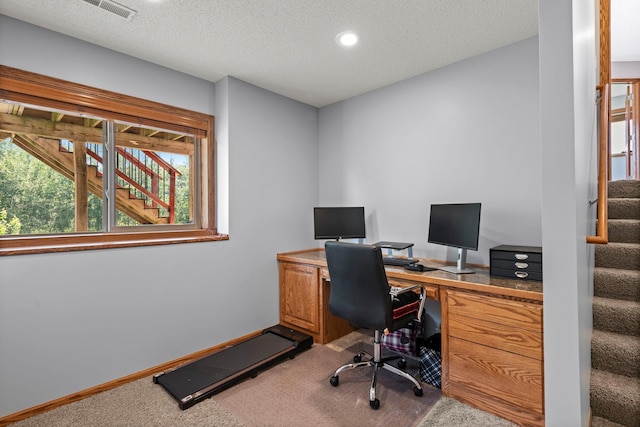 16355 Wintergreen St NW, Andover, MN 55304 - photo 40