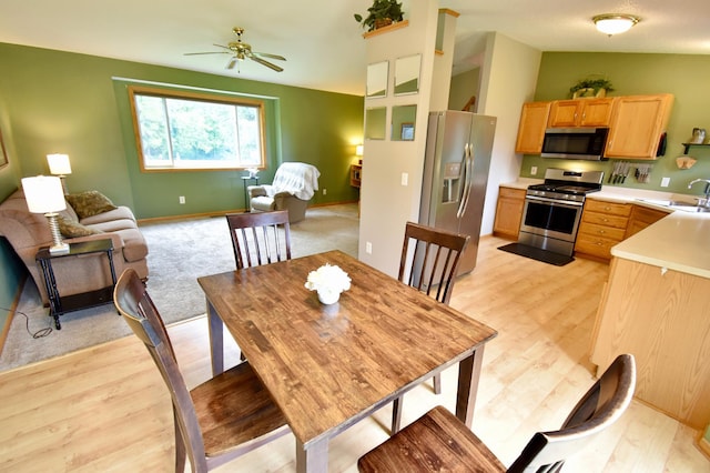 9466 191st Ave SE, Becker Twp, MN 55308 - photo 4