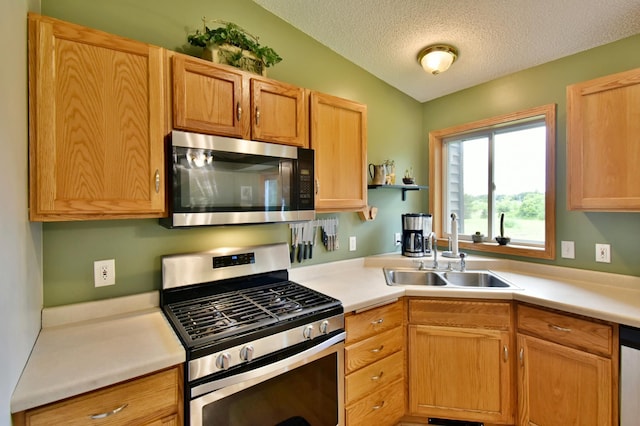 9466 191st Ave SE, Becker Twp, MN 55308 - photo 9