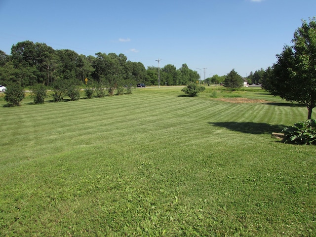 1575 Cornerstone Ln, Owatonna, MN 55060 - view of grassy yard