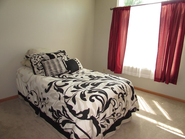 1575 Cornerstone Ln, Owatonna, MN 55060 - bedroom featuring carpet floors