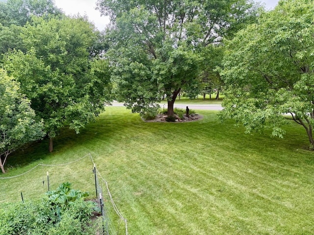 313 Bancroft Dr, Albert Lea, MN 56007 - photo 10