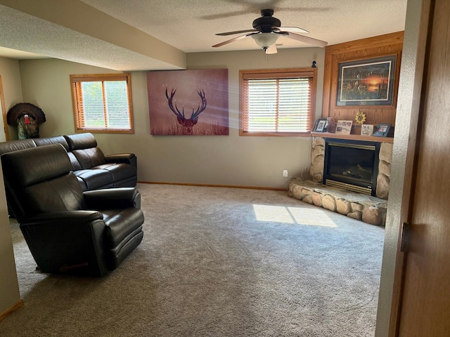 313 Bancroft Dr, Albert Lea, MN 56007 - photo 25