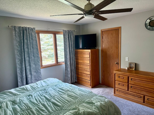 313 Bancroft Dr, Albert Lea, MN 56007 - photo 38
