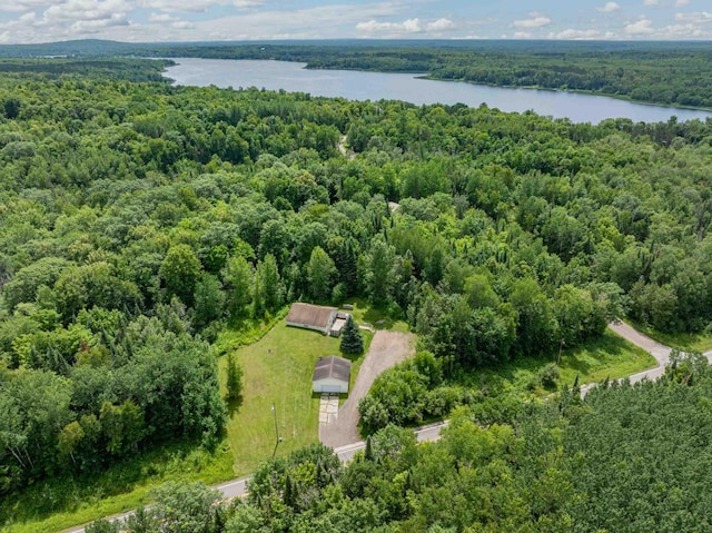 35055 County Line Rd, Hill City, MN 55748 - photo 3