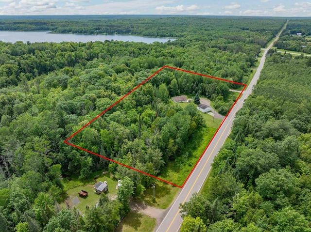 35055 County Line Rd, Hill City, MN 55748 - photo 28