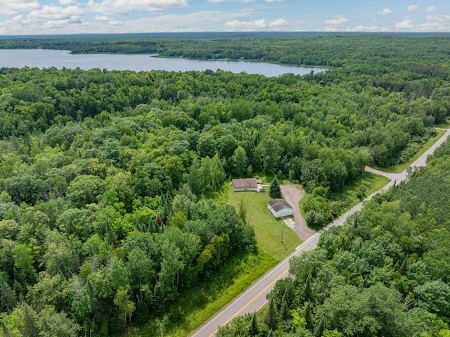 35055 County Line Rd, Hill City, MN 55748 - photo 29