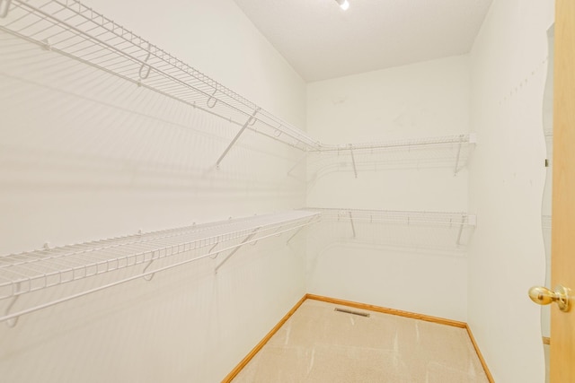 6873 Benton Way Unit 59, Inver Grove Heights, MN 55076 - view of spacious closet