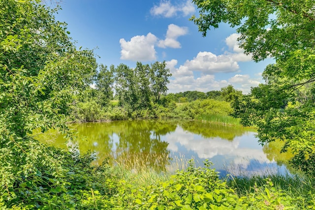 6873 Benton Way Unit 59, Inver Grove Heights, MN 55076 - water view