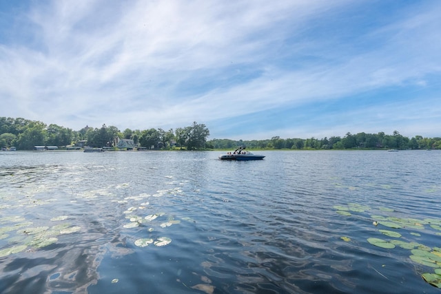 203 Park Dr, Balsam Lake, WI 54810 - photo 48