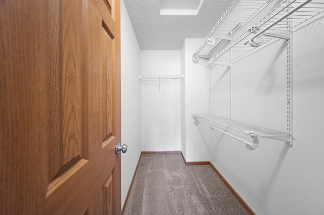 14661 Cobalt St NW Unit 43, Ramsey, MN 55303 - photo 18