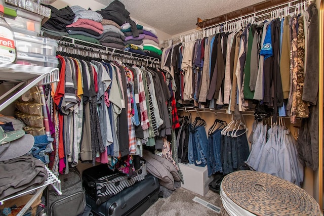 3590 Fillmore St S, Fargo, ND 58104 - walk in closet featuring carpet flooring