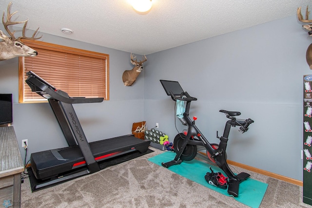 3590 Fillmore St S, Fargo, ND 58104 - exercise area with a textured ceiling and carpet floors