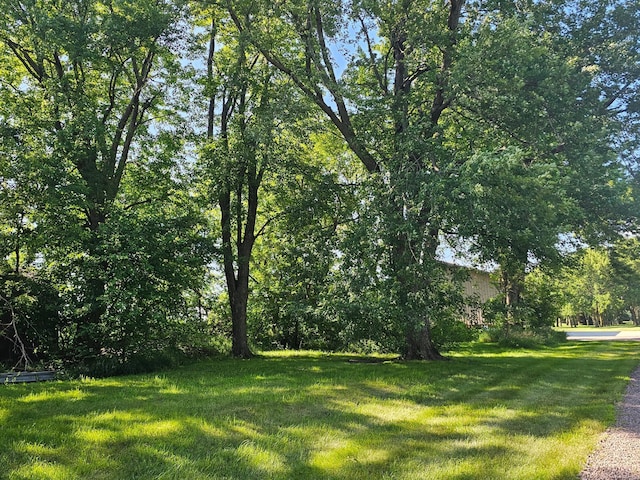130 Grace Ave, Iona, MN 56141 - photo 1