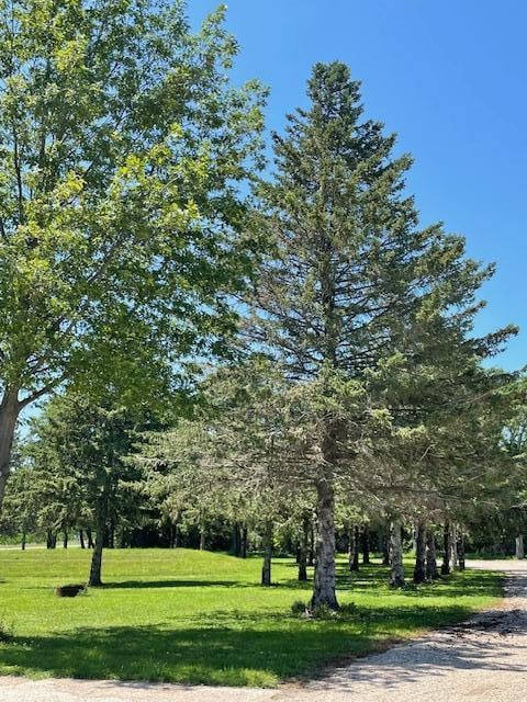50128 850th Ave, Hector, MN 55342 - photo 39