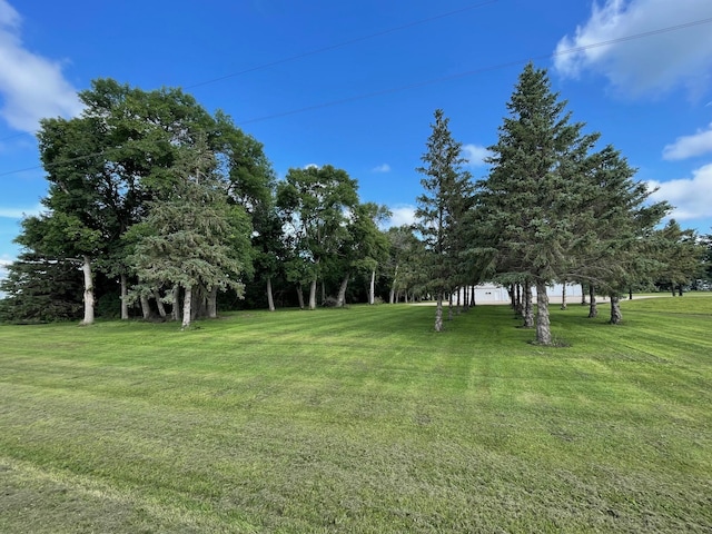 50128 850th Ave, Hector, MN 55342 - photo 41