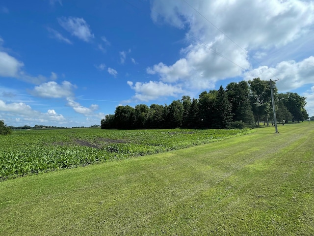 50128 850th Ave, Hector, MN 55342 - photo 42