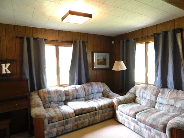 50128 850th Ave, Hector, MN 55342 - photo 15