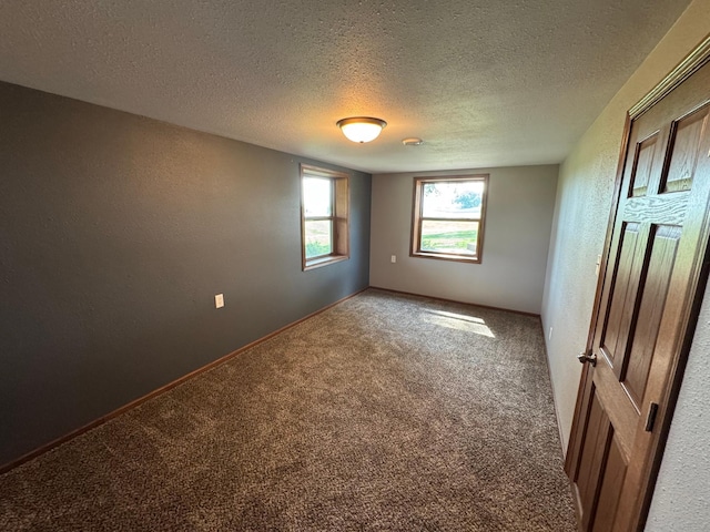 90760 US Highway 71, Christiania Twp, MN 56101 - carpeted empty room with a textured ceiling and a textured wall