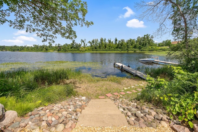 1603 White Ash Ln Unit A, Apple River Twp, WI 54810 - photo 9
