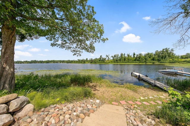 1603 White Ash Ln Unit A, Apple River Twp, WI 54810 - photo 10