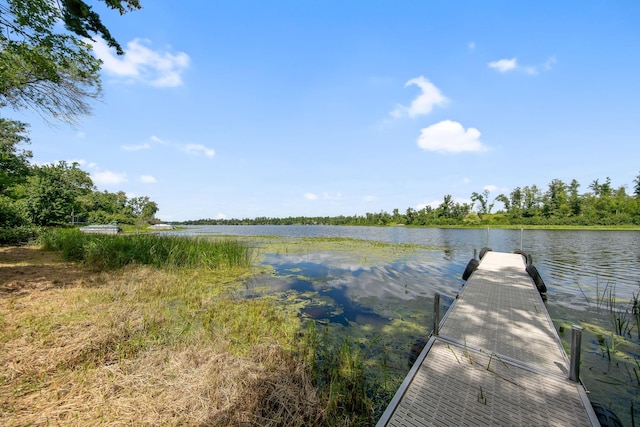1603 White Ash Ln Unit A, Apple River Twp, WI 54810 - photo 11