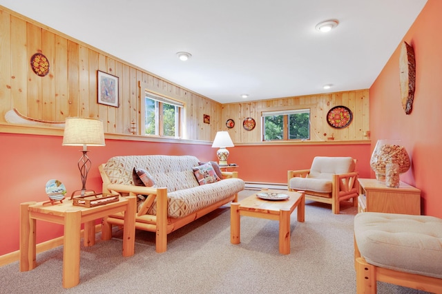 1603 White Ash Ln Unit A, Apple River Twp, WI 54810 - photo 35