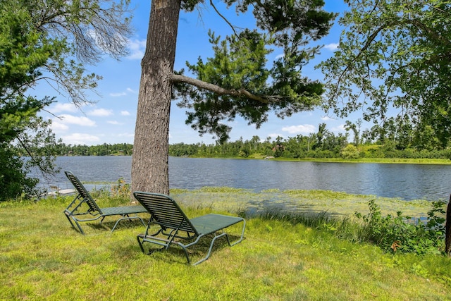 1603 White Ash Ln Unit A, Apple River Twp, WI 54810 - photo 67