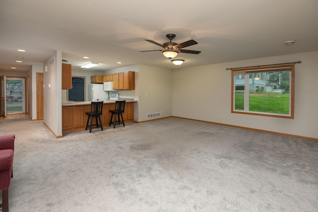 413 Fillmore St W, Preston, MN 55965 - photo 7