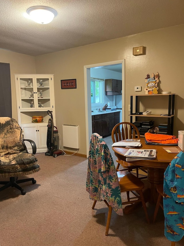 516 9th Ave W, Alexandria, MN 56308 - photo 11