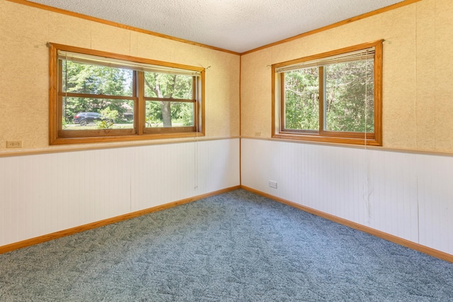 26815 147th St NW, Zimmerman, MN 55398 - photo 25