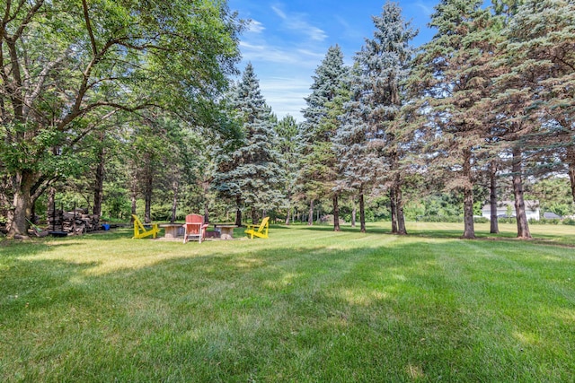 29412 125th St NW, Baldwin Twp, MN 55371 - photo 24
