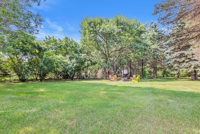 29412 125th St NW, Baldwin Twp, MN 55371 - photo 28