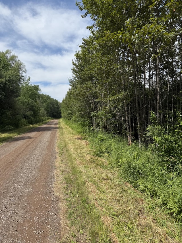 TBD Oestreich Rd, Wright, MN 55798 - photo 4