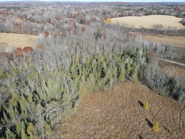 TBD Willy Rd, Big Bend Twp, WI 54895 - photo 2