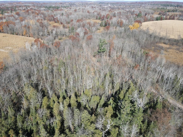 TBD Willy Rd, Big Bend Twp, WI 54895 - photo 3