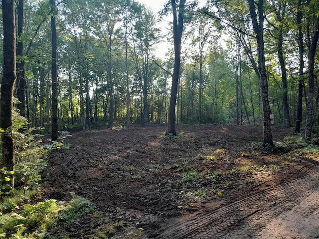 TBD Willy Rd, Big Bend Twp, WI 54895 - photo 4