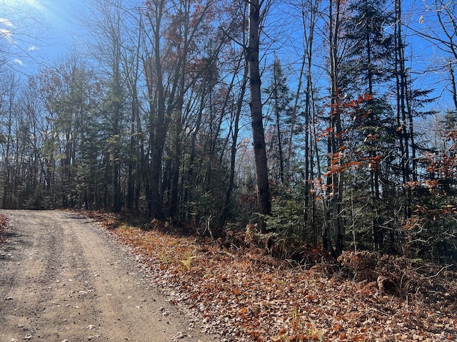 TBD Willy Rd, Big Bend Twp, WI 54895 - photo 5